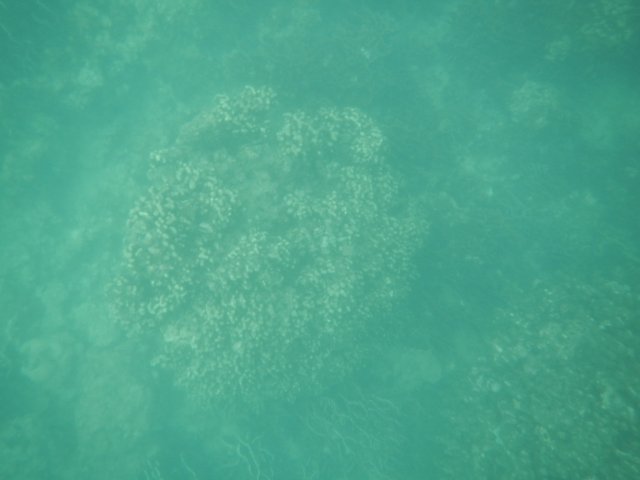 dscn1722